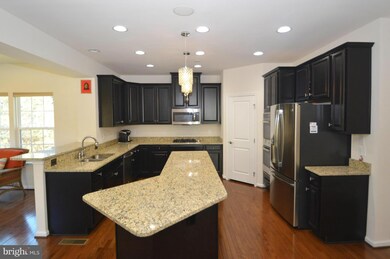 24146 High Falls Ct, Ashburn, VA 20148 - photo 7