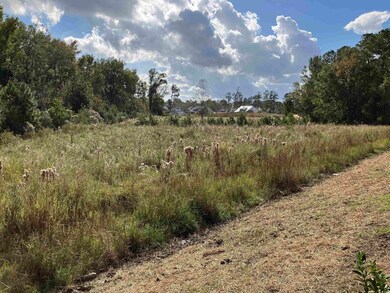 13.39 Acres Harbor Aly, Myrtle Beach, SC 29577 - photo 7