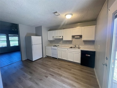 4209 Quail Ridge Ct, Granbury, TX 76049 - photo 4