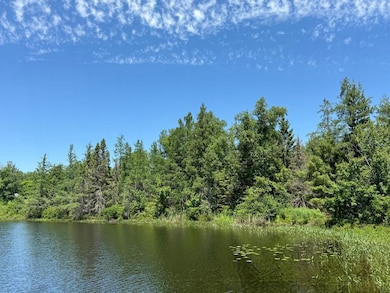 LOT 25 Creekside Ct, Mercer, WI 54547 - photo 3