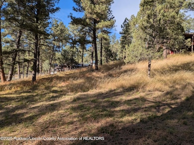 416 Snowcap Dr, Ruidoso, NM 88345 - photo 2