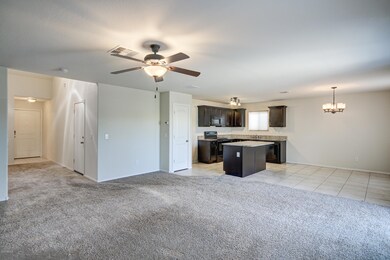 24042 N Brittlebush Way-10