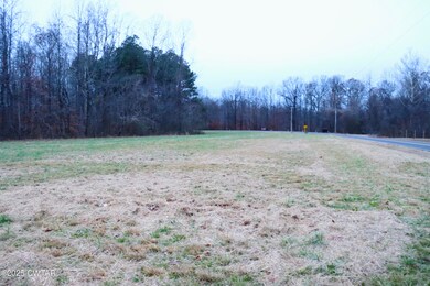 000 Old Samburg Rd, Hornbeak, TN 38232 - photo 4