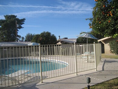 Community Pool
