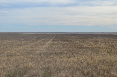 County Road V, Kit Carson, CO 80825 - photo 2