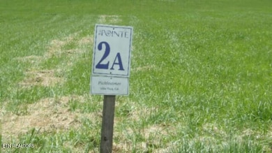 Lot 2A Swan Ridge Rd, Hilham, TN 38568 - photo 2