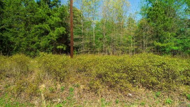 View of local wilderness