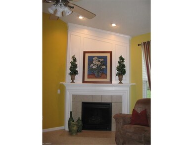 Stunning, corner, gas fireplace with surround, mantel & decorative panel above.  Ceramic facade and hearth.