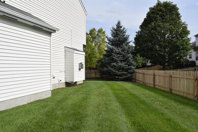 Side Yard