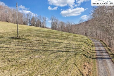 TBD Old Buffalo Trail, Boone, NC 28607 - photo 7