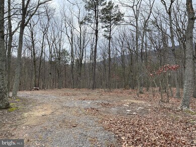 9.50 AC Bird Ridge Rd, Springfield, WV 26763 - photo 6