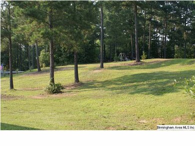 View from back porch