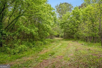 0 Mountain Rd unit 10512693, Alpharetta, GA 30004 - photo 6