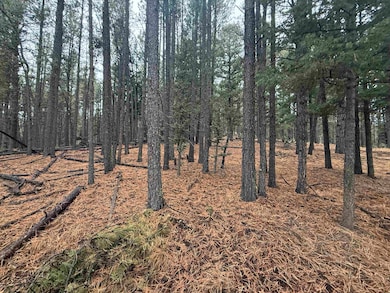 Lot 53 Valle Grande Trail, Angel Fire, NM 87710 - photo 2