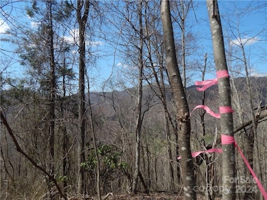 00 Gentry Farm Rd, Spring Creek, NC 28743 - photo 5