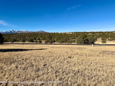 111 Rainmakers Dr, Alto, NM 88312 - photo 4