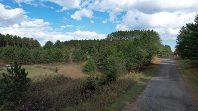 ON Forest Rd unit 1.9 ac, Tomahawk, WI 54487 - photo 6