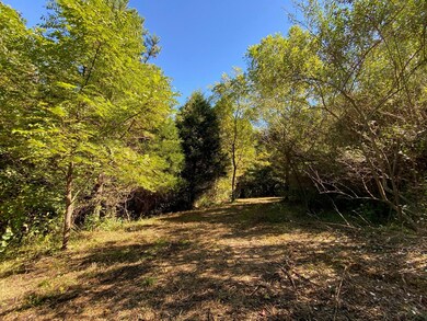 75 One Rock Rd, Somerset, KY 42501 - photo 6