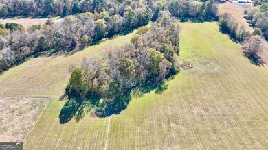 LOT 8 Mask Road - Hanner's Farm S, Brooks, GA 30205 - photo 6