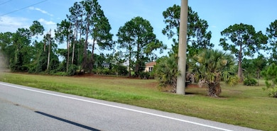 849 Bell Blvd S unit 13/07, Lehigh Acres, FL 33974 - photo 3