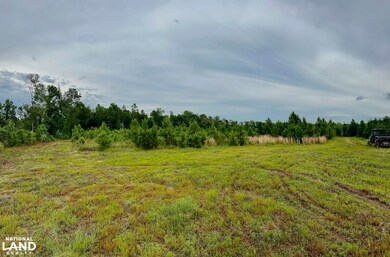 0 Bennett Colter Rd unit 25767774, Rentz, GA 31075 - photo 2