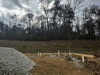 6208 Sycamore Stream Rd, Dandridge, TN 37725 - photo 2