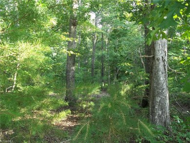 0 Pisgah Covered Bridge Rd unit 1112496, Asheboro, NC 27205 - photo 4