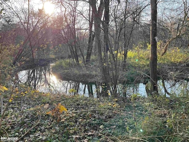 000 Gratiot Ave, New Haven, MI 48048 - photo 2