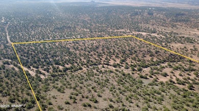 9591 Privette Ln, Snowflake, AZ 85937 - photo 2