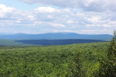 3383 I P, Morgan, VT 05853 - photo 7