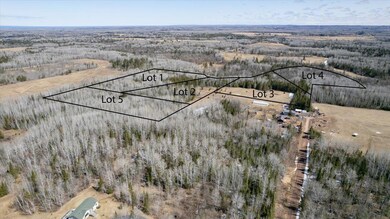 9377 E Wood Lot 2 Rd, Poplar, WI 54864 - photo 7