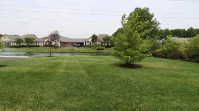 Pond View