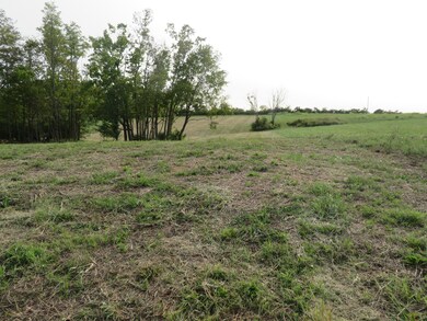 590 Craig Crossing, Winchester, KY 40391 - photo 3