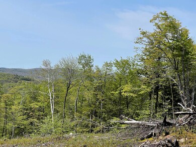 0 White Rd unit 4964384, Readsboro, VT 05350 - photo 4