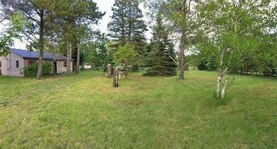 7932 Miller Dr, South Branch, MI 48761 - photo 3