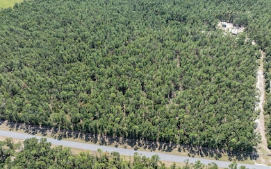 TBD 180th St, Live Oak, FL 32060 - photo 5