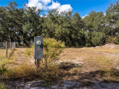 8355 SW Prairie Ave, Arcadia, FL 34269 - photo 3