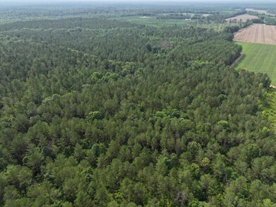 0 Mississippi 46 unit 25-1215, Mantee, MS 39751 - photo 4