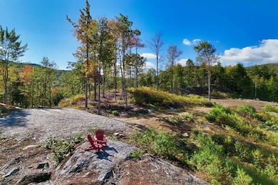 15-12-10-10 Jacob Hall Farm Rd, Rumney, NH 03266 - photo 7