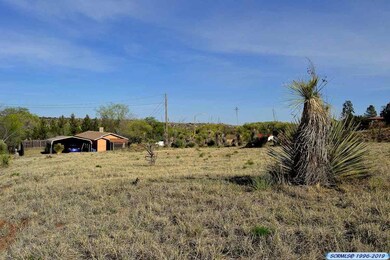 xx W Howell St, Silver City, NM 88061 - photo 7