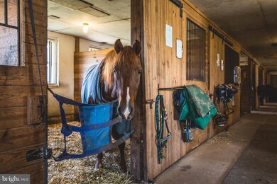 55 Municipal Rd, Pipersville, PA 18947 - photo 6