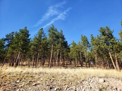 view lot 2