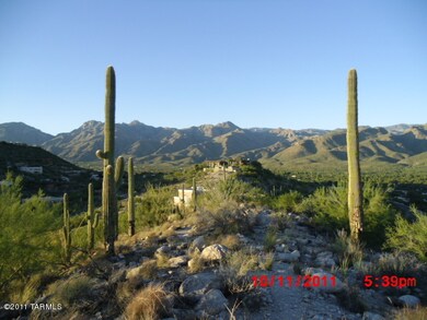Mountain Views