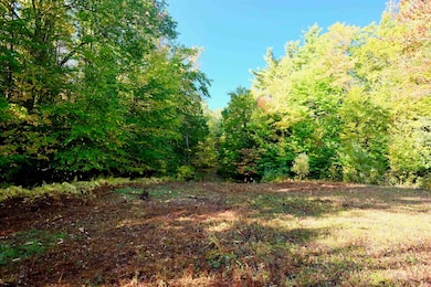 14 Sundance Ln, Bow, NH 03304 - photo 6