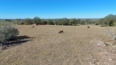 7180 County Road 283, Harwood, TX 78632 - photo 7