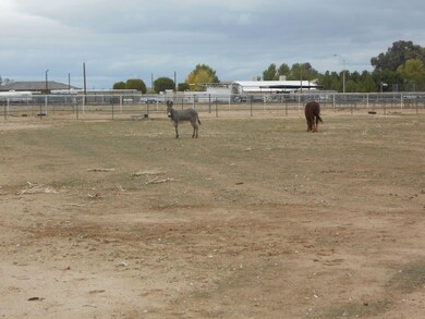 0000 N Perryville Rd, Litchfield Park, AZ 85340 - photo 4