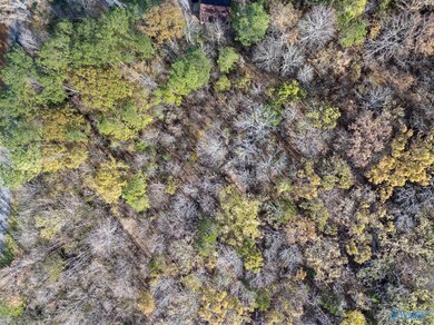 3 Acres Ashley Dr, Grant, AL 35747 - photo 6