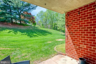 9 Elphin Ct unit 101, Lutherville Timonium, MD 21093 - photo 7