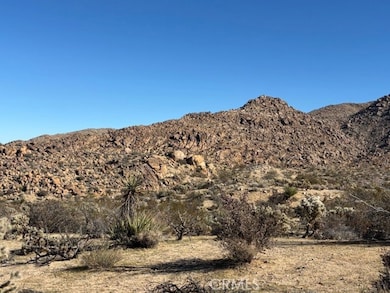 7085 Alturas Dr, Joshua Tree, CA 92252 - photo 5