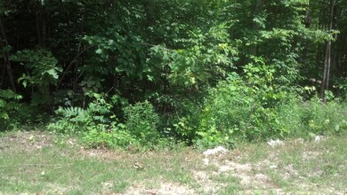 IMG_20130721_132844_088